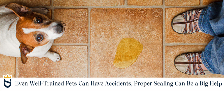 Even well-trained pets can have accidents; proper sealing can be a big help