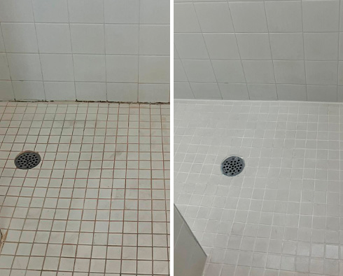 Tile Shower Before and After a Grout Cleaning in Lewes