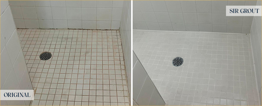 Tile Shower Before and After a Grout Cleaning in Lewes