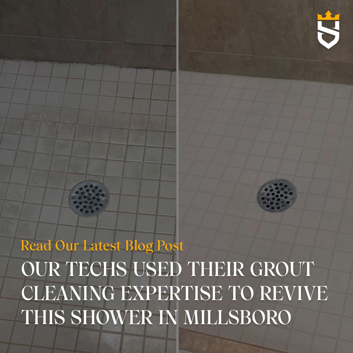 Our Techs Used Their Grout Cleaning Expertise to Revive This Shower in Millsboro
